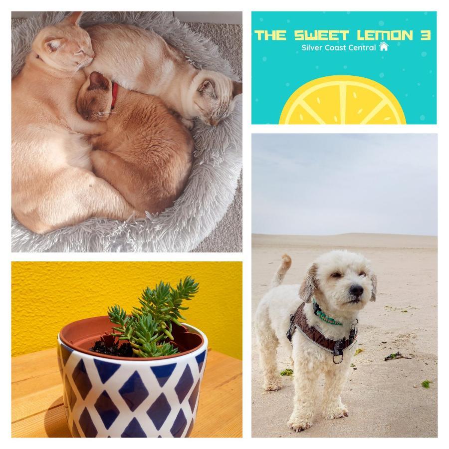 Apartmán The Sweet Lemon 3 Bombarral Exteriér fotografie